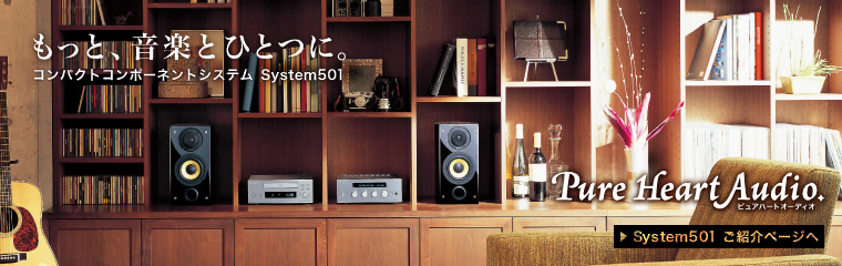 Sonydrive system501 �̃y�[�W��